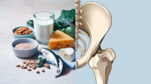bone health facts and osteoporosis prevention: your lifelong wellness strategy